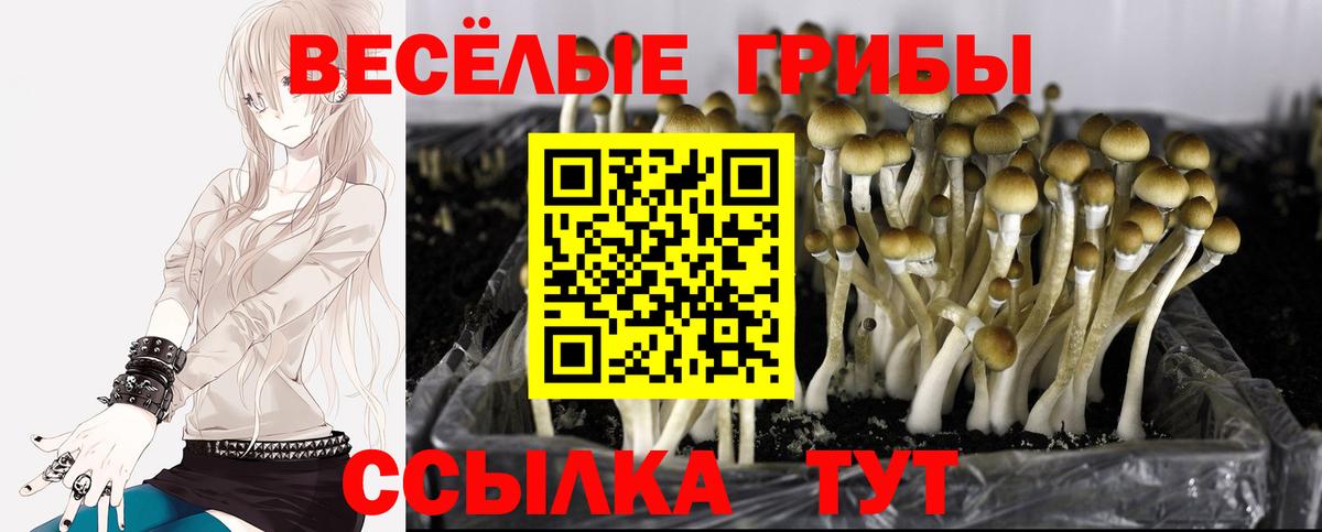 Псилоцибиновые грибы Magic Shrooms  Вход с VPN  Дубна 
